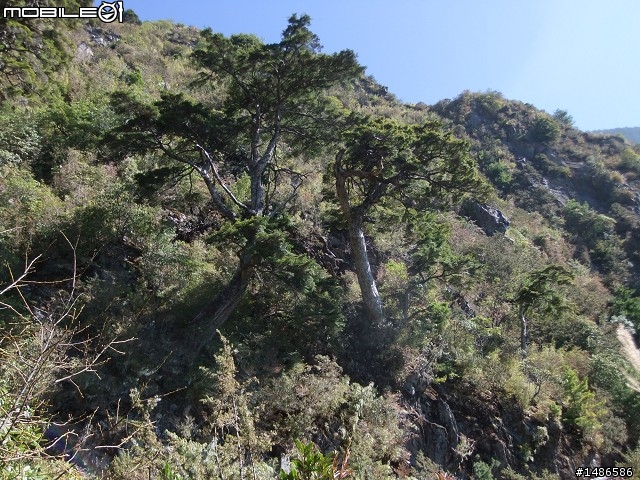 玉山暴走