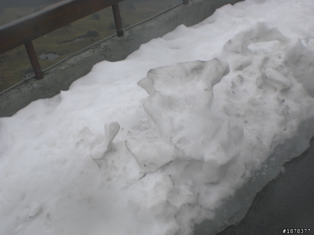 1/21 終於衝上去合歡山 武嶺了   都是雪