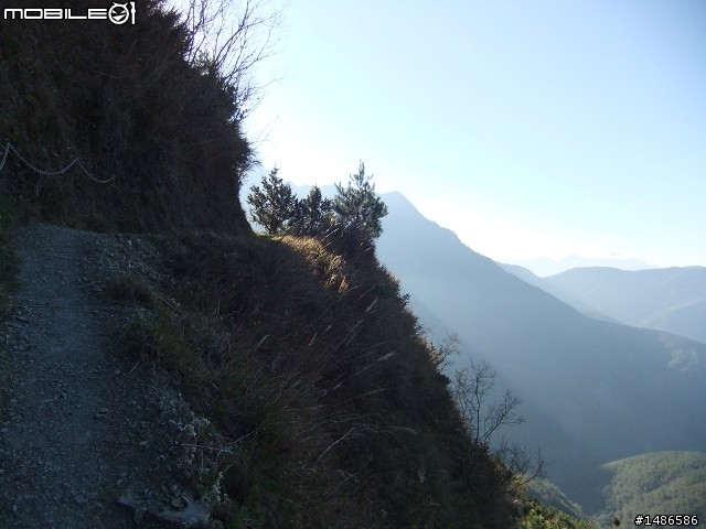 玉山暴走