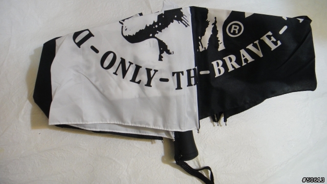 就是愛下雨天之~Diesel Umbrella