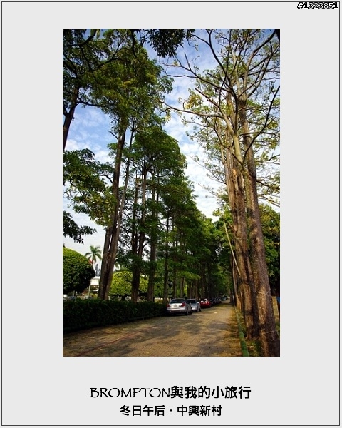<BROMPTON與我的小旅行>冬日午后．中興新村