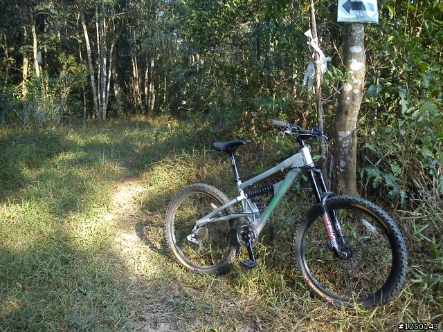 苗栗 三通嶺 林道遊~ [100/1/1]
