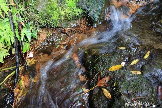 桃源仙谷,無敵兔與7D的隨手拍(人像篇)~補圖!