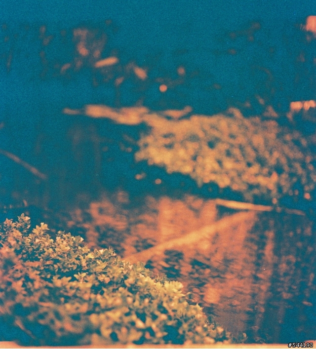 [開箱+試拍]Lomography ISO 50-200底片 (LOMO底片MAMIYA C3, 柯達SIX-20, 海鷗實拍)