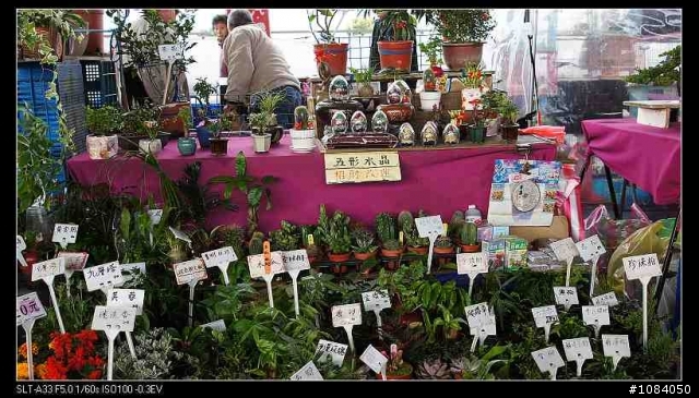 三重區 重新橋下跳蚤市場試看照片