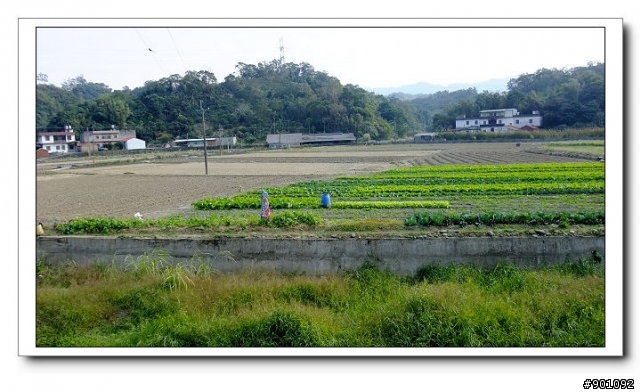 新竹地區優質單車路線~~竹21+竹16鄉道(100/1/2)