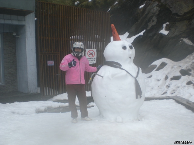 1/21 終於衝上去合歡山 武嶺了   都是雪