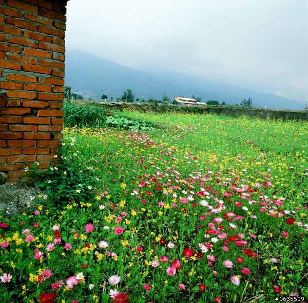 2011花東慢活底片行