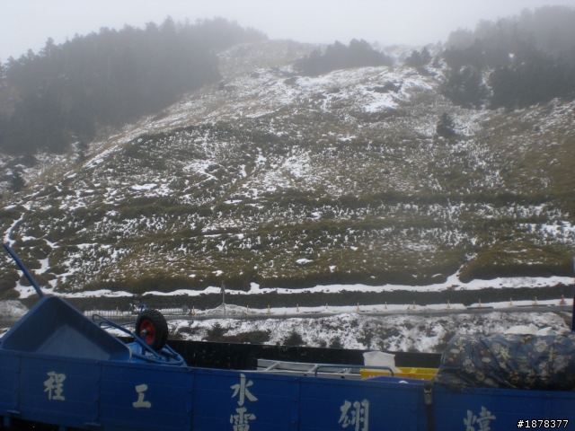 1/21 終於衝上去合歡山 武嶺了   都是雪