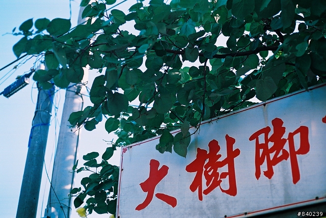 Canon Ex-Auto <第一卷>