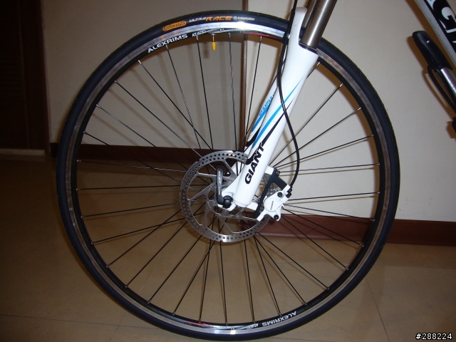 TALON DISC 更換700C輪組