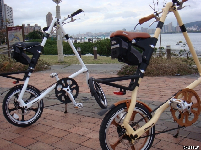 strida(LT)雙色開箱