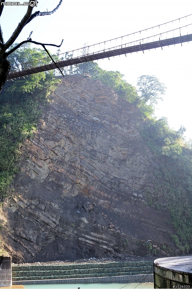 123開著Luxgen SUV到阿里山，阿里山，山上有神木，山下有便當。