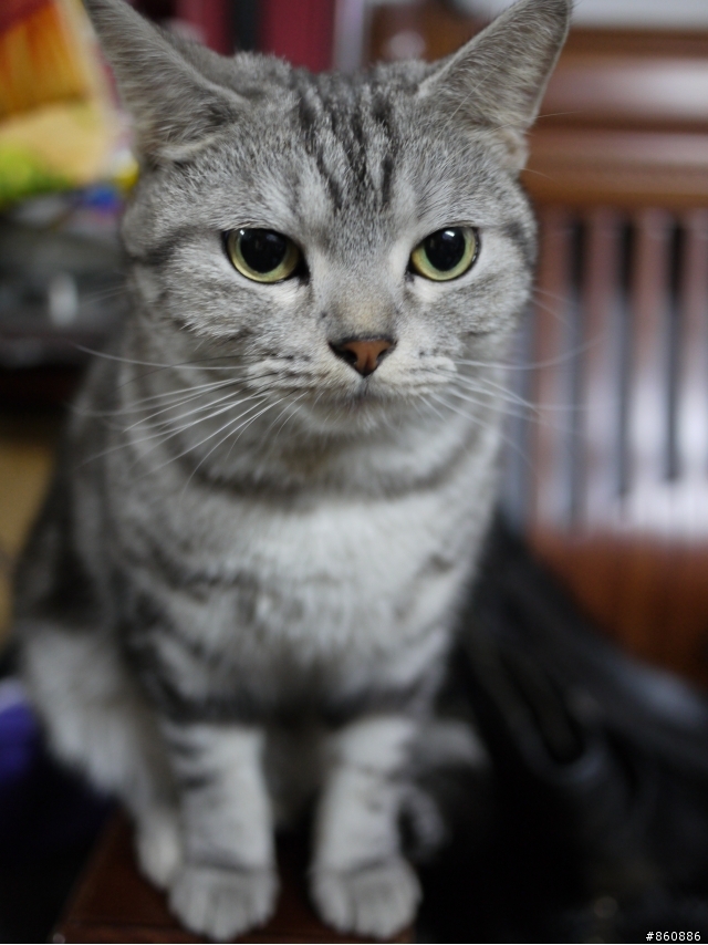 GF1~~~我的第一台單眼~~