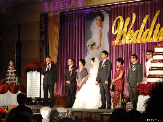 TX9拍的1/12陳偉殷婚禮