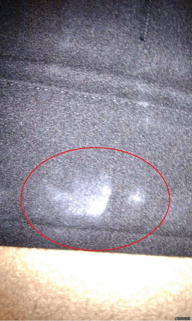 非常不專業之Superdry Premier Pea Trench Coat 開箱文