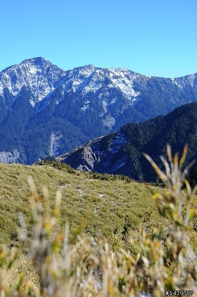 合歡山爆走兄弟在600km的旅程裡油0感動無價
