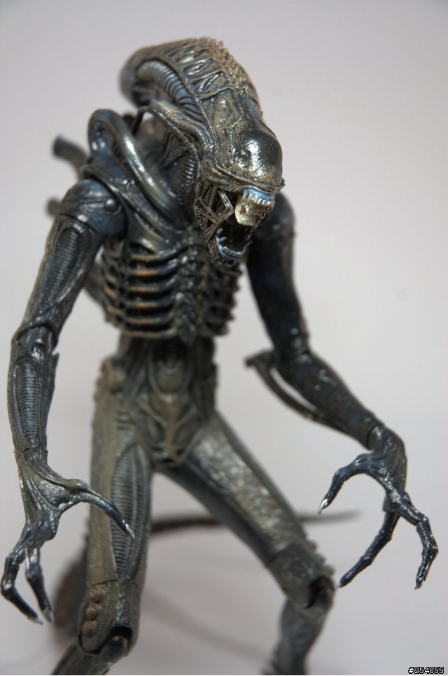NECA AVPR Alien Warrior - 異形來襲
