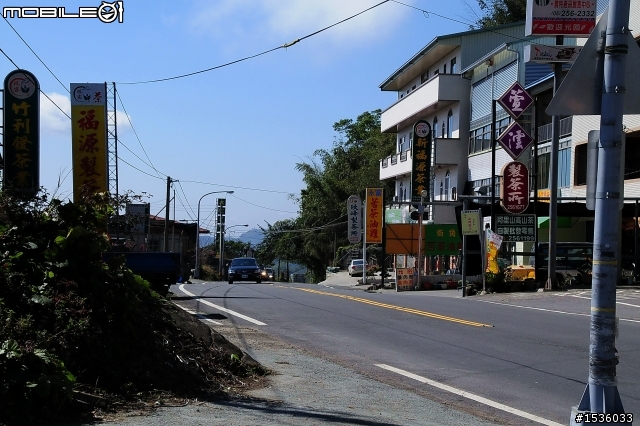 123開著Luxgen SUV到阿里山，阿里山，山上有神木，山下有便當。