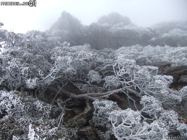玉山暴走