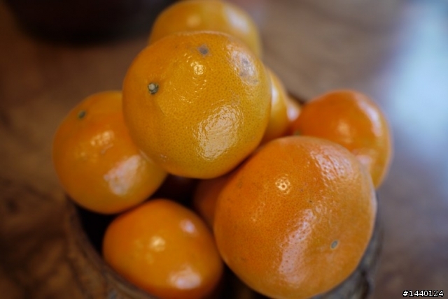 1/22 新手入手GF1