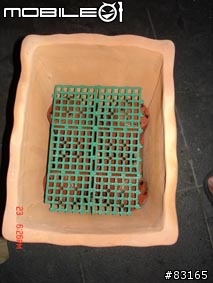 省錢小作戰_盆景DIY