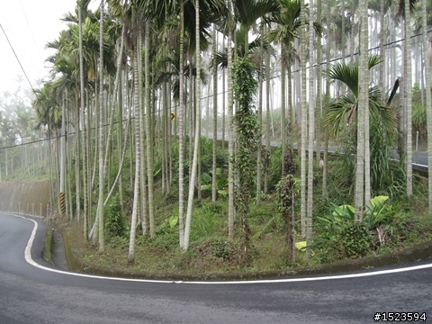 輕騎逍遙山嵐飄邈間 ~ 澐水、中崙溫泉