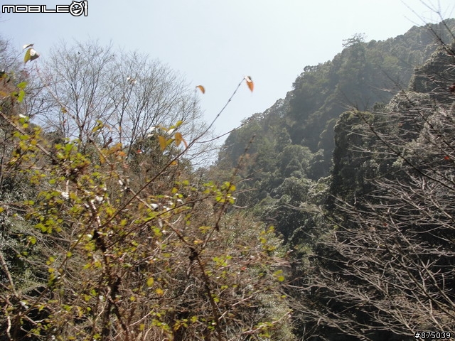 【２０１１年悠活盃】2/27南陌南投杉林溪散步芬多精之旅簽到版