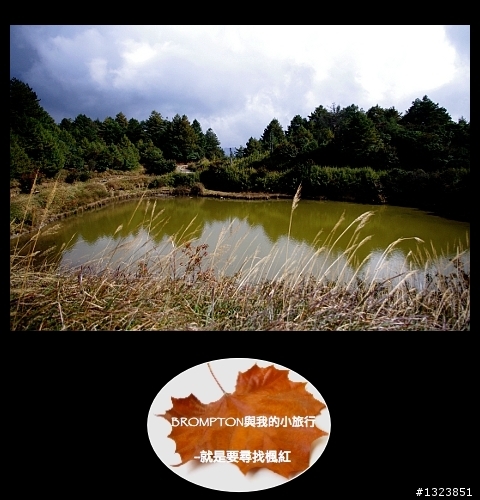 <BROMPTON與我的小旅行>就是要尋找楓紅