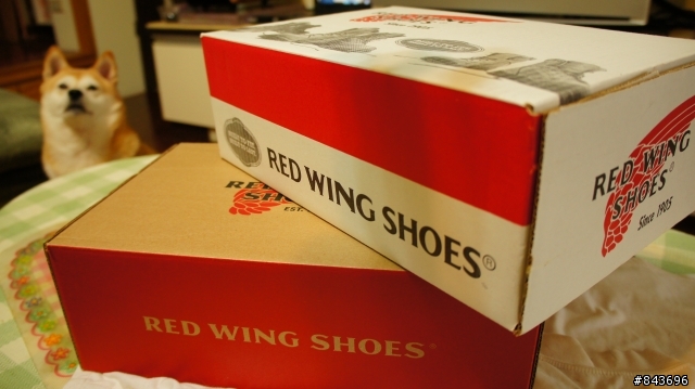RED WING 8112 + 8131
