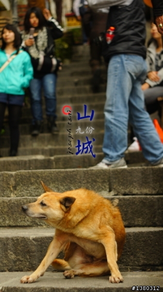 老鏡新拍~Nex3+pentacon50/1.8