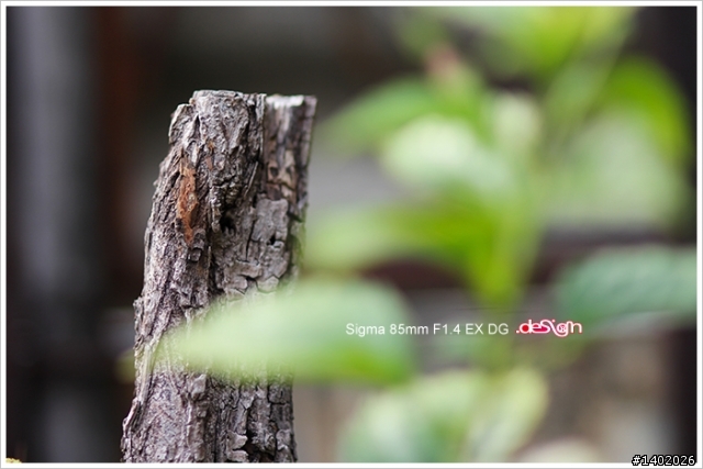 【蓋大樓】魔鏡寶塔．Sigma 85mm F1.4
