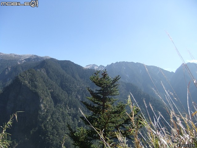 玉山暴走