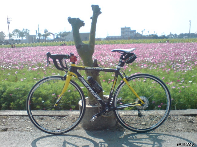 merida r5