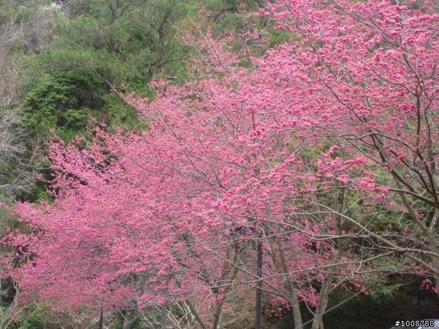 好天氣之消毒之旅-南投