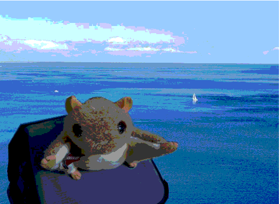 【開箱分享】敗落去...囧rz...登山專用 相機包 (ORTLIEB Camera Bag)