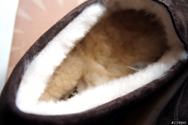 【分享】UGG Ascot 麂皮短筒懶人鞋 (圖多慎入)