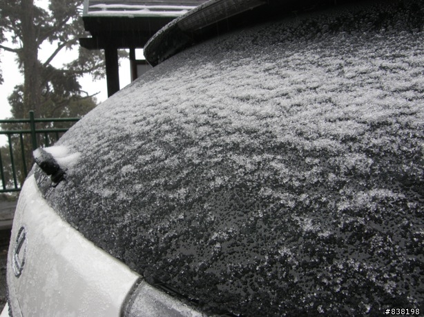 鼻涕、犁田、手凍僵  追隨鄭喵喵的腳步之 不是武嶺的大禹嶺