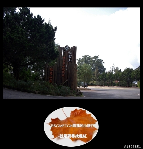 <BROMPTON與我的小旅行>就是要尋找楓紅