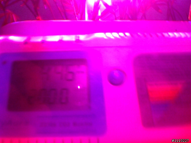 室內植物 與 CO2變化 測試未完成