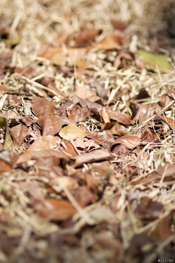 [開箱]要入sigma 85mm F1.4的請參考