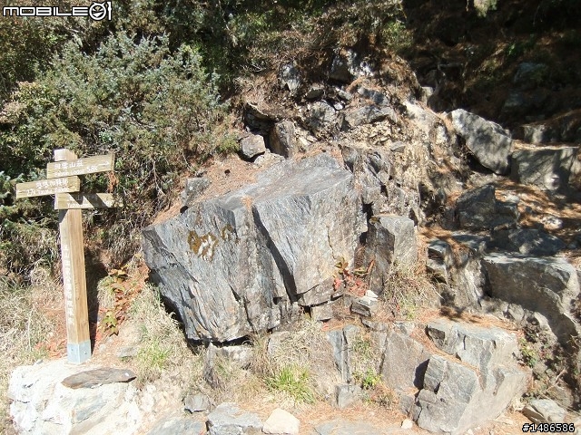 玉山暴走