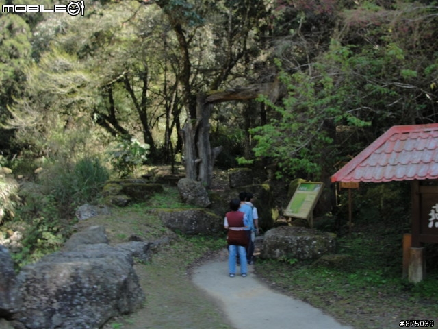 【２０１１年悠活盃】2/27南陌南投杉林溪散步芬多精之旅簽到版