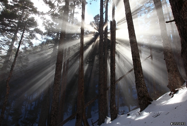 [5D2] 雪山賞雪趣