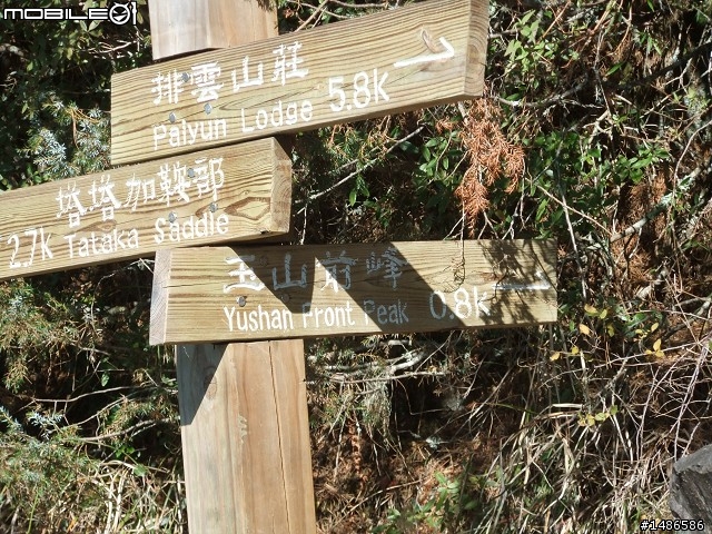 玉山暴走