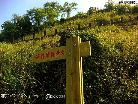 暗香浮動尋梅影