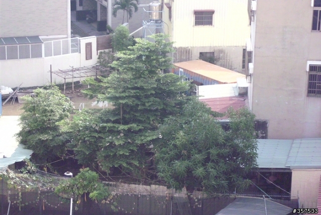 BENQ_C1255實照,便宜..但....