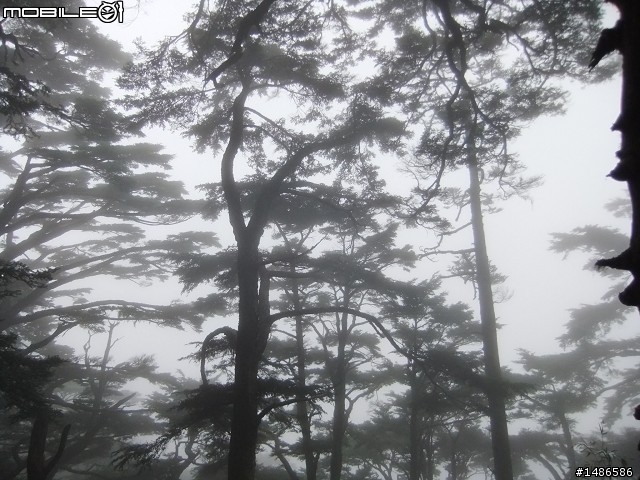 玉山暴走