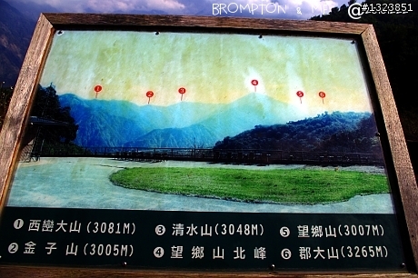 暗香浮動尋梅影