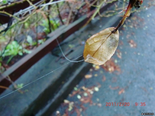 [開箱] 遲來的開箱- CASIO EX-G1 軍裝綠 (純外觀分享) 2/21 新增拍攝照片